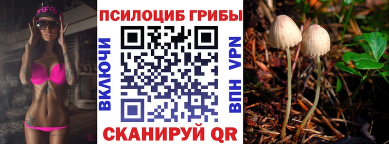 Галлюциногенные грибы Cubensis  Купить закладки  Спасск 